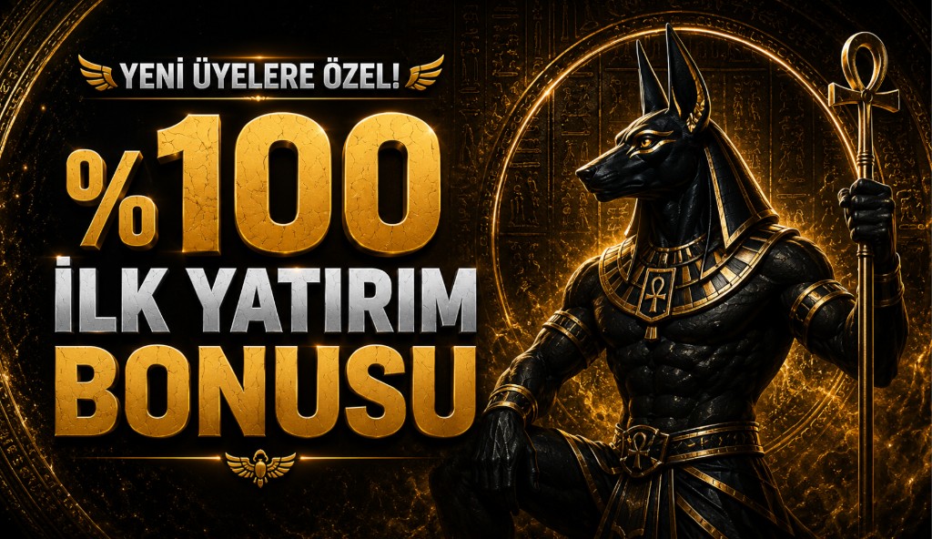 Ana sayfa promosyon bannerı